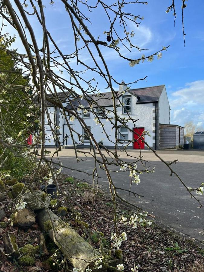 Willow House Bed & Breakfast And Orchard Studios Self Catering Limavady Dış mekan fotoğraf